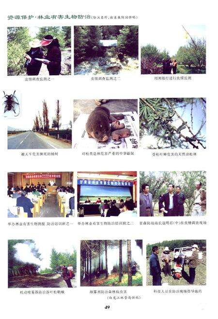 《《甘肃省志·林业志》下册(1986-2005)》.pdf电子版_甘肃省志预览图2