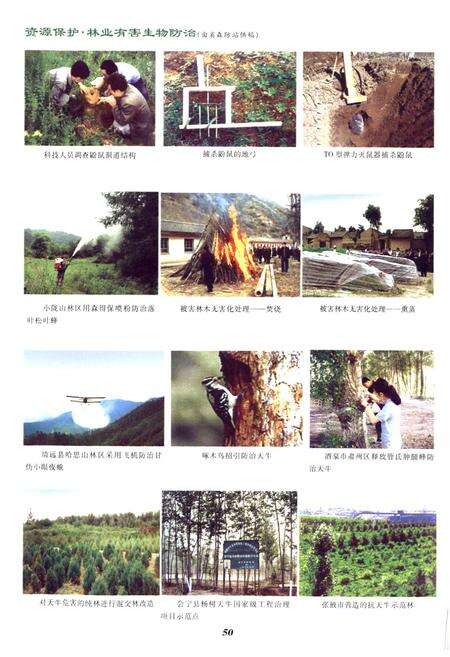 《《甘肃省志·林业志》下册(1986-2005)》.pdf电子版_甘肃省志预览图3