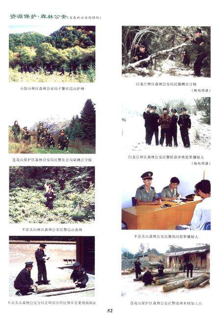 《《甘肃省志·林业志》下册(1986-2005)》.pdf电子版_甘肃省志预览图5