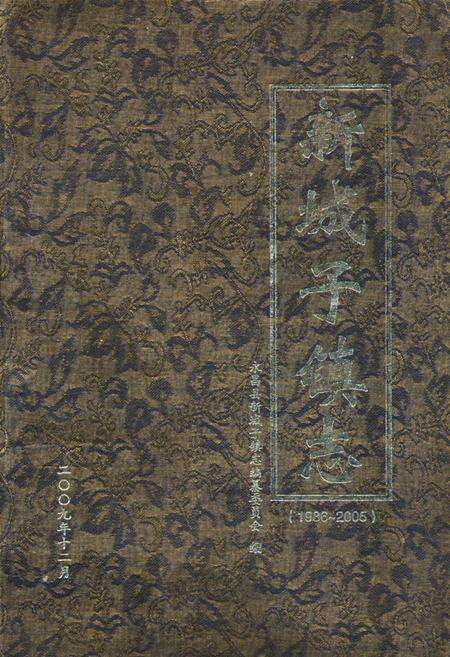 《《新城子镇志》(1986-2005)》.pdf电子版_甘肃省志缩略图