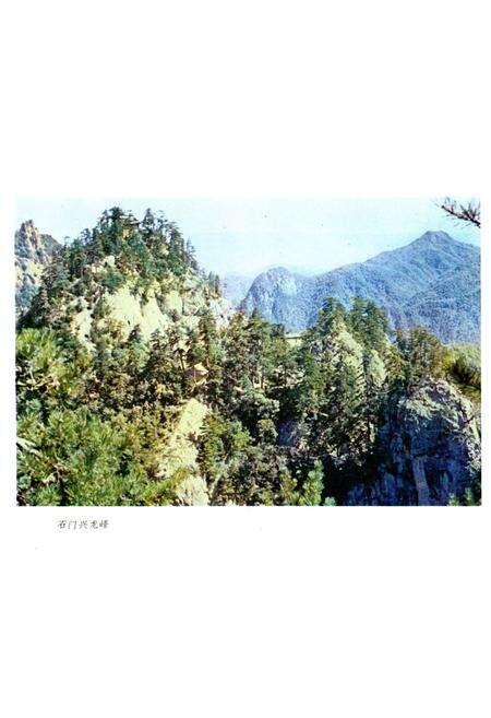 《天水县文物志》.pdf电子版_甘肃省志预览图2