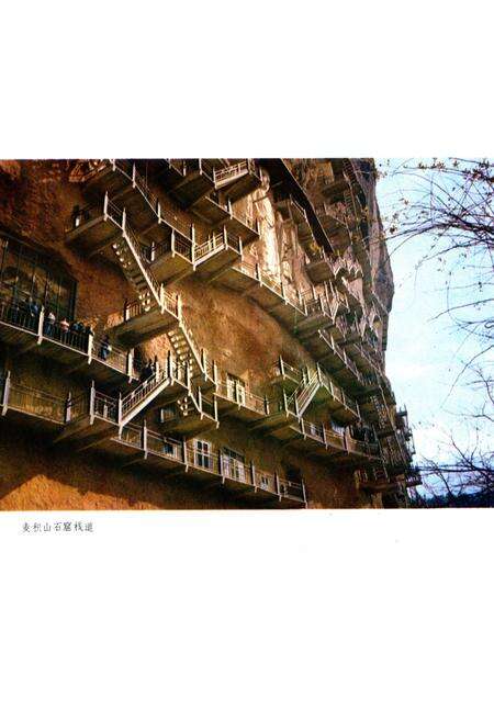 《天水县文物志》.pdf电子版_甘肃省志预览图3