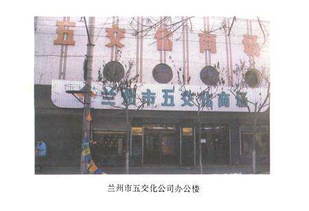 《《兰州五交电化工商业志》》.pdf电子版_甘肃省志预览图5