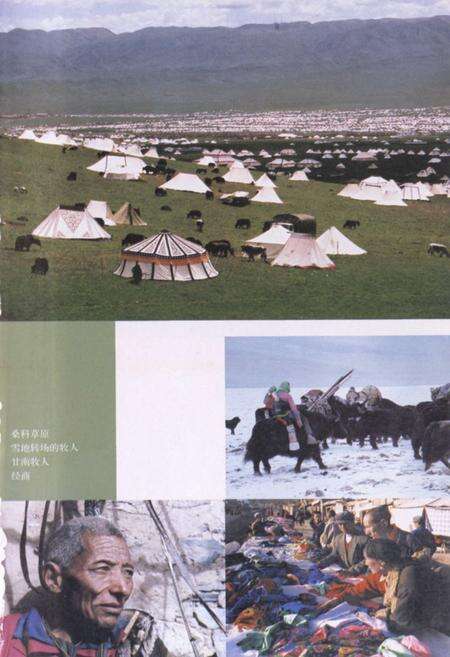 《甘肃·甘南风物志》.pdf电子版_甘肃省志预览图2