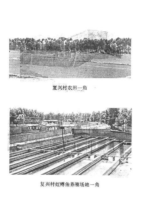 《复兴村志》.pdf电子版_甘肃省志预览图3