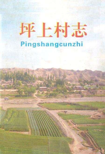 《坪上村志》.pdf电子版_甘肃省志缩略图