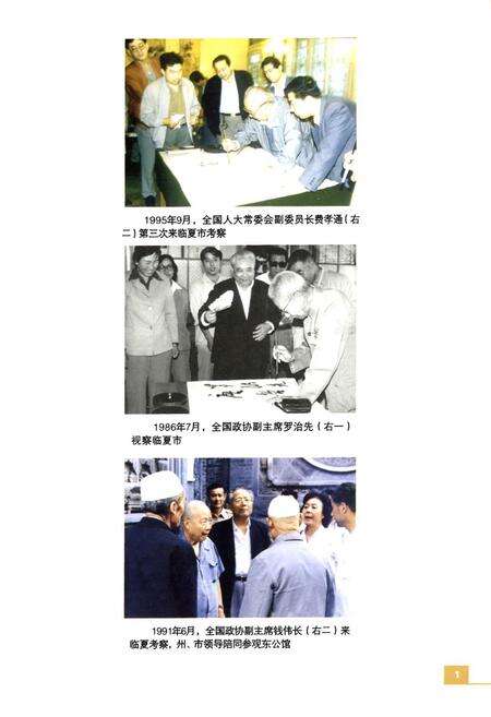 《临夏市志(1986-2005)》.pdf电子版_甘肃省志预览图4