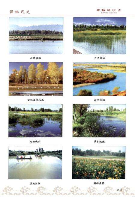 《张掖地区志(远古-1995)中卷》.pdf电子版_甘肃省志预览图4