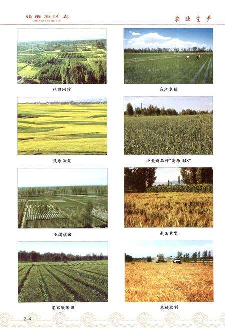 《张掖地区志(远古-1995)中卷》.pdf电子版_甘肃省志预览图5