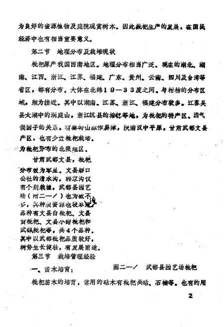 《甘肃省几种亚热带果树志(枇杷 无花果 油橄榄)》.pdf电子版_甘肃省志预览图5