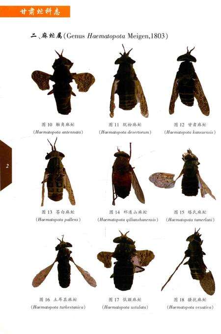 《甘肃虻科志》.pdf电子版_甘肃省志预览图5
