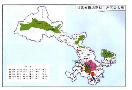 《甘肃道地药材志》.pdf电子版_甘肃省志预览图3