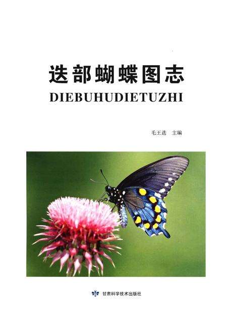 《迭部蝴蝶图志》.pdf电子版_甘肃省志预览图1