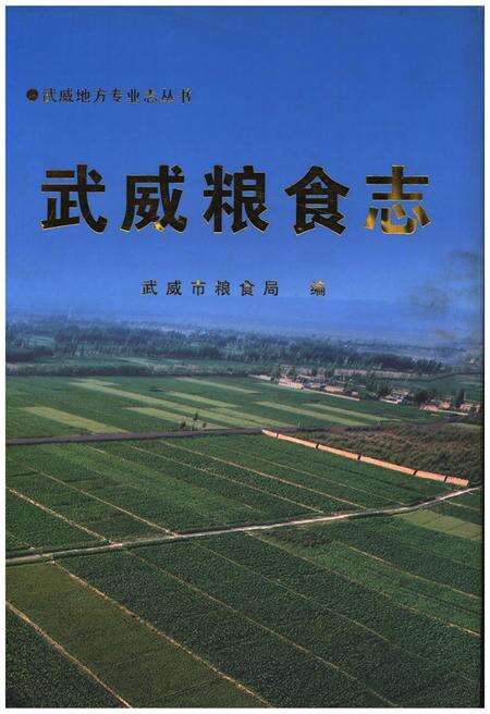《武威粮食志》.pdf电子版_甘肃省志缩略图