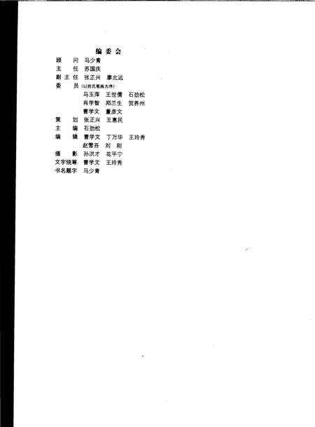 《炳灵寺石窟艺术》.pdf电子版_甘肃省志预览图3