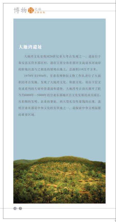 《博物馆 甘肃彩陶》.pdf电子版_甘肃省志预览图5