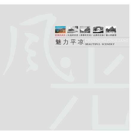 《魅力平凉》.pdf电子版_甘肃省志预览图4