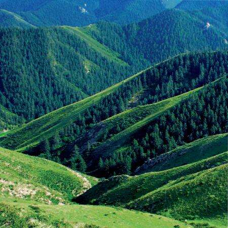 《生态甘肃 林业自然保护区》.pdf电子版_甘肃省志预览图4