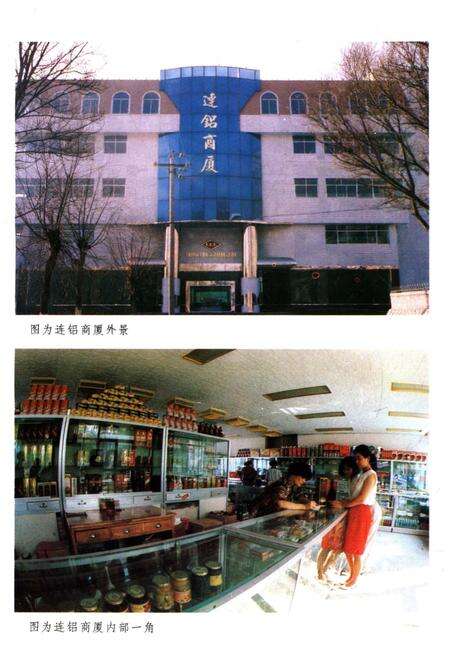 《连城铝厂厂史》.pdf电子版_甘肃省志预览图5