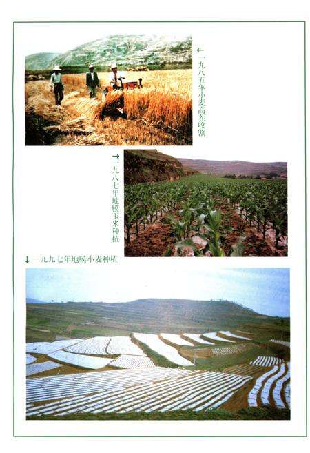 《秦安县农牧志》.pdf电子版_甘肃省志预览图5