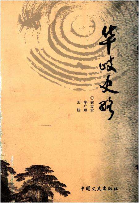 《华岐史略》.pdf电子版_甘肃省志缩略图