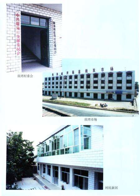 《崖湾志》.pdf电子版_甘肃省志预览图5