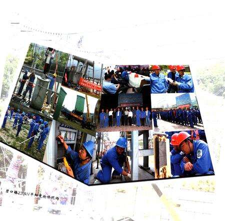 《国家电网兰州供电公司 汶川特大地震抗震救灾志》.pdf电子版_甘肃省志预览图3