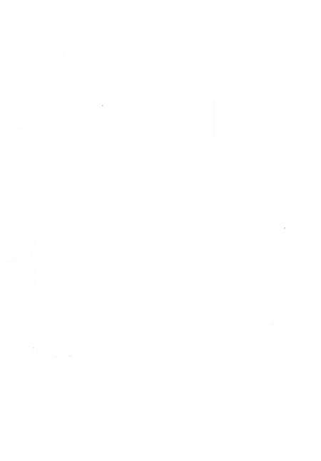 《箭杆岭凤龙山李白纪念宫志》.pdf电子版_甘肃省志预览图1