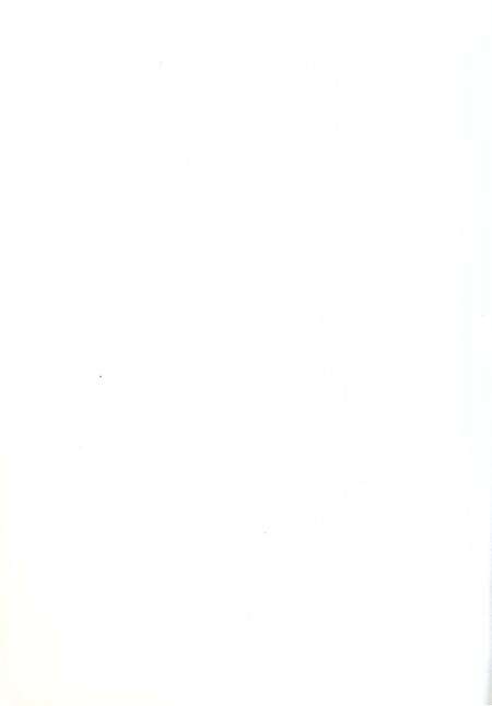 《箭杆岭凤龙山李白纪念宫志》.pdf电子版_甘肃省志预览图5