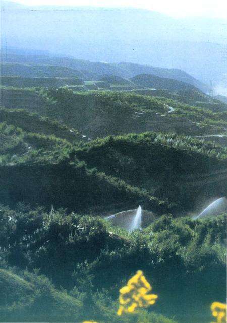 《永靖县林业志》.pdf电子版_甘肃省志预览图1