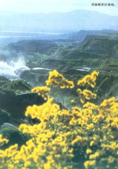 《永靖县林业志》.pdf电子版_甘肃省志预览图2