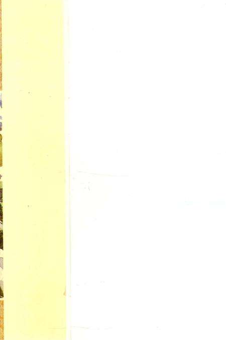 《张掖文物古迹荟萃》.pdf电子版_甘肃省志预览图1