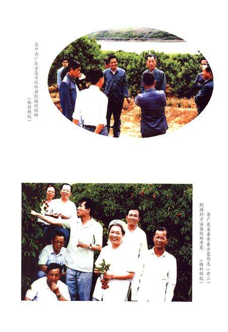 《楼村志》.pdf电子版_广东省志预览图5