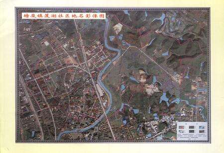 《东莞市塘厦镇莲湖村志》.pdf电子版_广东省志预览图3