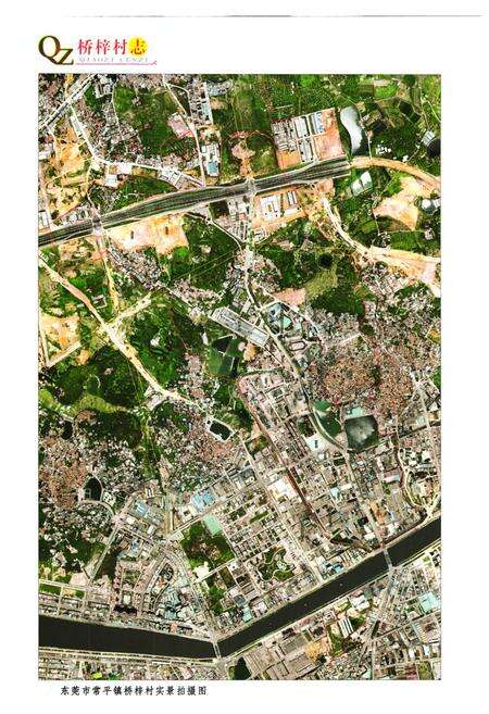 《东莞市常平镇桥梓村志》.pdf电子版_广东省志预览图3