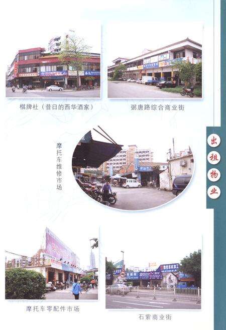 《佛山市禅城区张搓街道弼唐村弼唐村志》.pdf电子版_广东省志预览图4