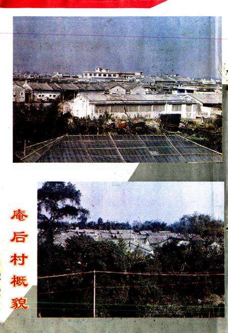 《德桥庵后村志》.pdf电子版_广东省志预览图5