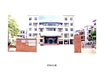 《下柏村志》.pdf电子版_广东省志预览图1