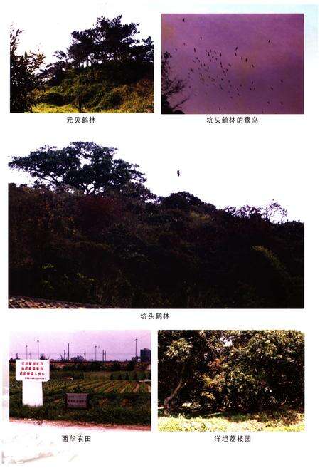 《茅岗村志》.pdf电子版_广东省志预览图4