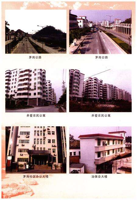 《茅岗村志》.pdf电子版_广东省志预览图5