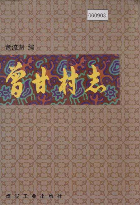 《曾甘村志》.pdf电子版_广西壮族自治区志缩略图