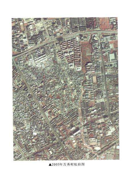 《万秀村志》.pdf电子版_广西壮族自治区志预览图3