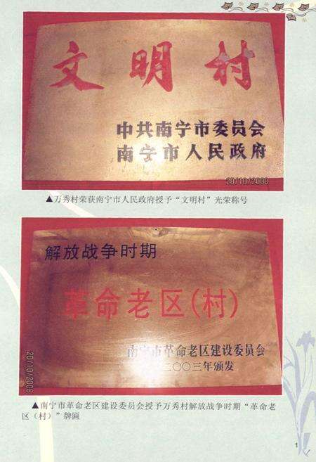 《万秀村志》.pdf电子版_广西壮族自治区志预览图4