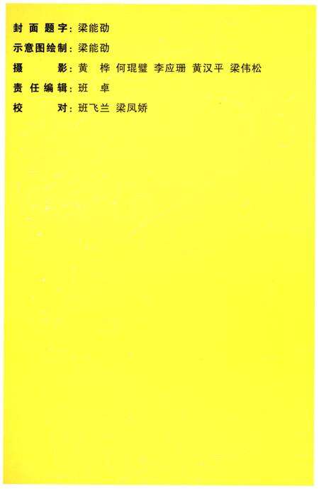 《平羌村志》.pdf电子版_广西壮族自治区志预览图2