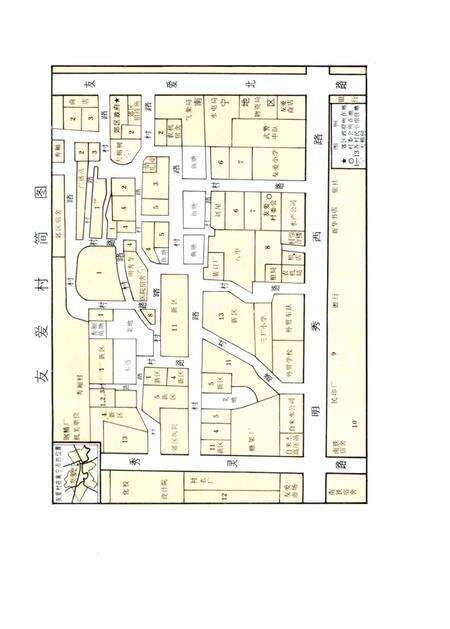 《友爱村志》.pdf电子版_广西壮族自治区志预览图2