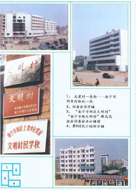 《友爱村志》.pdf电子版_广西壮族自治区志预览图3