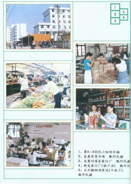 《友爱村志》.pdf电子版_广西壮族自治区志预览图4