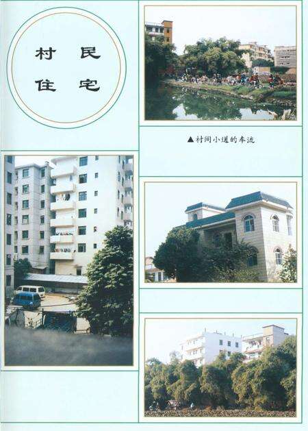 《友爱村志》.pdf电子版_广西壮族自治区志预览图5