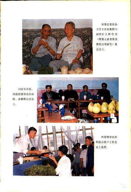 《黔东南苗族侗族自治州志 科学技术志 科学普及志》.pdf电子版_贵州省志预览图4