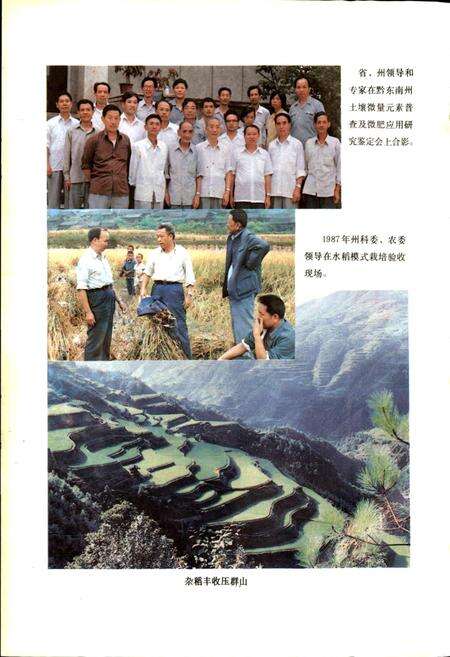 《黔东南苗族侗族自治州志 科学技术志 科学普及志》.pdf电子版_贵州省志预览图5